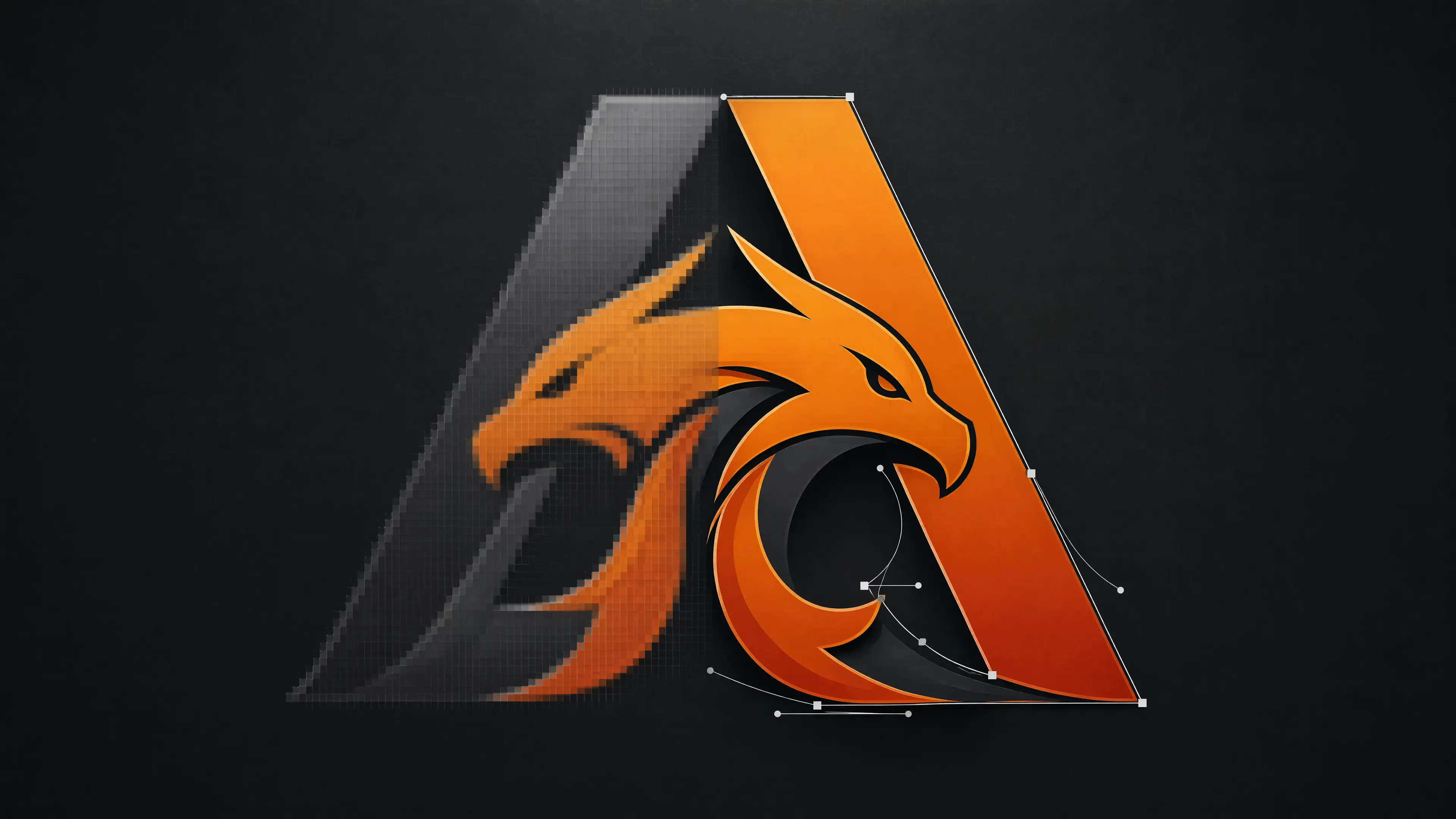 Raster to Vector Design
